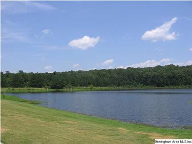 View of lake from the backyard.