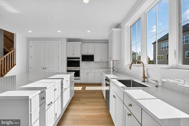 42135 Gilded Stone Terrace, Brambleton, VA 20148 - photo 3