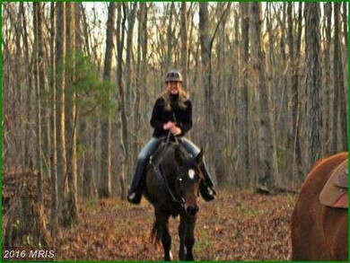 0 Old Foxville Rd unit 1002908400, Warrenton, VA 20186 - photo 6