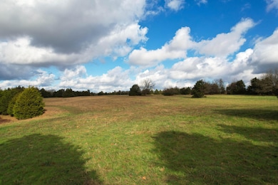 Track 3 E Farm Road 60, Franklin No. 2 Township, MO 65803 - photo 2