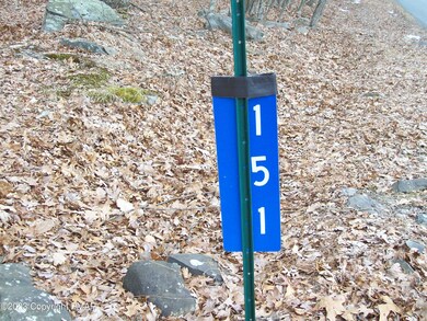 151 Locust Dr, Milford, PA 18337 - photo 5