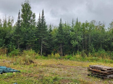 W12289 County Road J, Peck, WI 54424 - photo 4