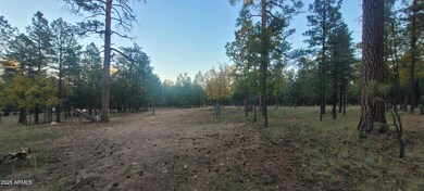 2857 Sparrow Dr unit 22, Happy Jack, AZ 86024 - photo 4