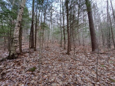 0 Holland Trail unit Lots 8 & 9 of Snowoo, Thornton, NH 03285 - photo 3
