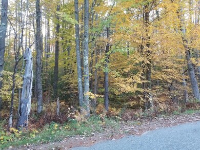 0357 Diller Land