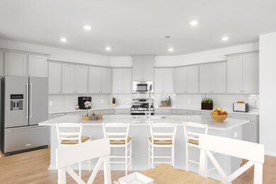 227 Tuscan Sun St, Ridgeville, SC 29472 - photo 7