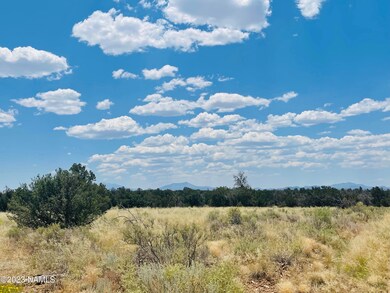 4799 N Hidden Ranch Rd Photo 16
