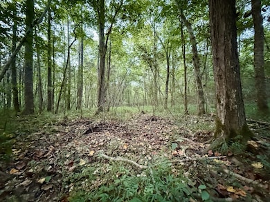 1 Hillcrest Rd, Dickson, TN 37055 - photo 3