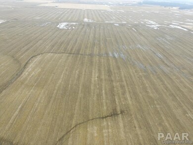 0 Thompson Rd, Virginia Township, IL 62691 - photo 4