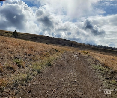 00 Cuddy Mountain Mineral Land, Cambridge, ID 83610 - photo 7
