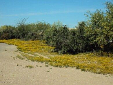 new river lot 014