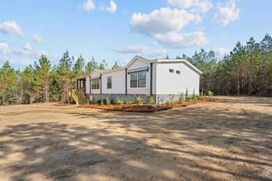 1262 Penny Morris Rd, Baxley, GA 31513 - photo 6
