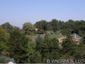 67 Magnolia Farms Dr unit 13, Asheville, NC 28806 - photo 3