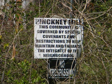 126 Pinckney Rd, Santee, SC 29142 - photo 4