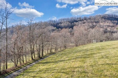 TBD Old Buffalo Trail, Boone, NC 28607 - photo 6