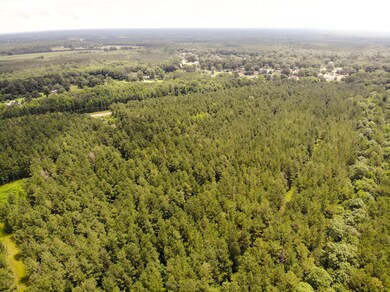 DJI_0651