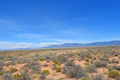 Lot 18 Rio Del Oro Loop unit 12, Los Lunas, NM 87031 - photo 5