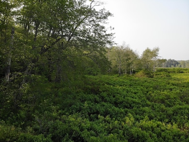 DJI_0655
