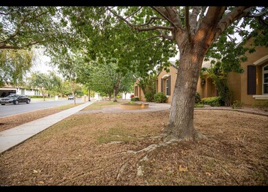 Front Yard (3)