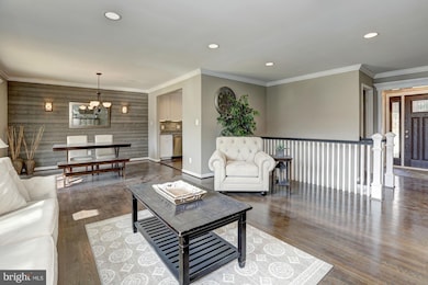 12608 Springloch Ct, Silver Spring, MD 20904 - photo 4