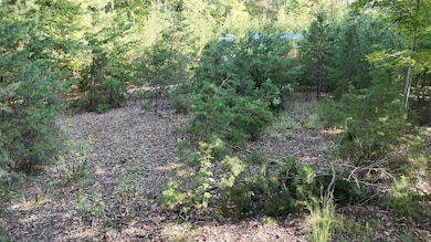 113 Foley Rd, Stuart, VA 24171 - photo 7