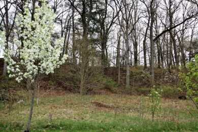 Lot9c