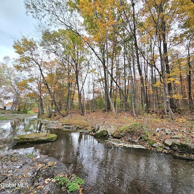 L53 Tarrytown Rd, Clarksville, NY 12041 - photo 2