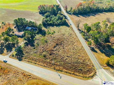 2.34 Acres Hwy 57, Pamplico, SC 29583 - photo 7