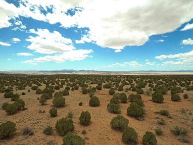Looking South Aerial