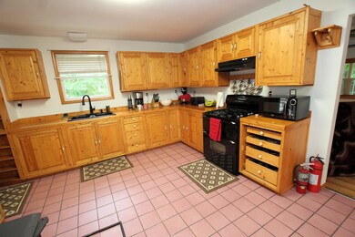 1571 W Woodland Park Dr, Bitely, MI 49309 - photo 4
