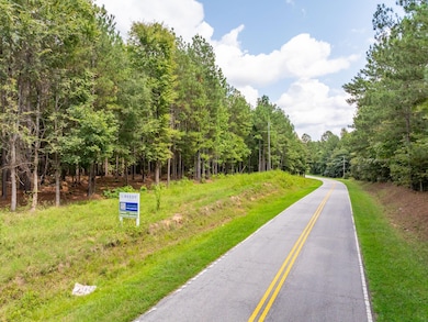 0 Neal Shoals Rd, Union, SC 29379 - photo 4