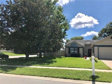 Large corner lot with a perfect tree for a swing