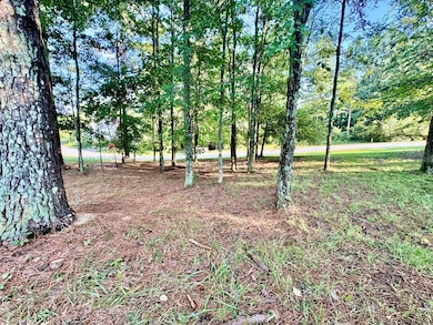 409 Grand Harbor Blvd, Ninety Six, SC 29666 - photo 2