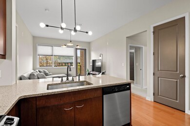 1 Northshore apt 335 5