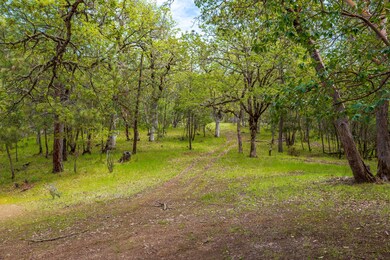 1165 Galls Creek Rd, Gold Hill, OR 97525 - photo 5