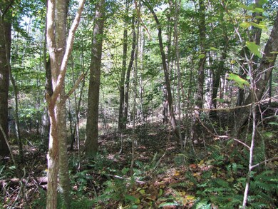 Lot 42 Melmark Acres Trail, Stuart, VA 24171 - photo 5