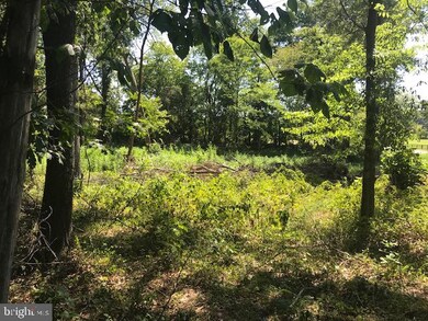 4550 Dumfries Road - Route 605 Nearest Fairmeadow Ln, Catlett, VA 20119 - photo 3