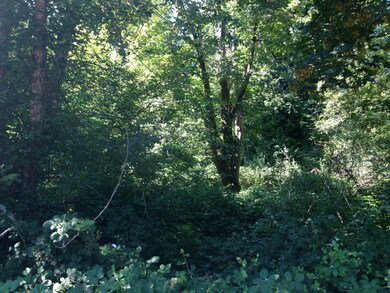 2824 15th Ave SE, Olympia, WA 98501 - photo 2