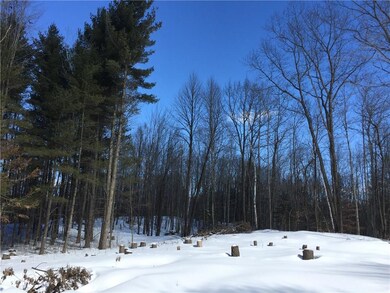 0 Mud Lake Rd unit 1516397, New Auburn, WI 54757 - photo 5