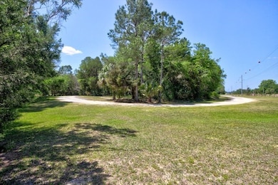 Parcel G SW 102nd Ct, Cedar Key, FL 32625 - photo 3