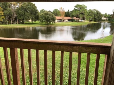 View From Balcony
