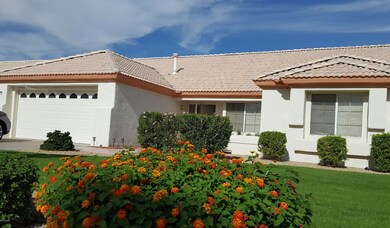 Flowering Trees & Bushes Everywhere - Al