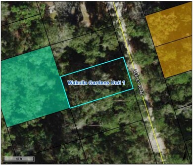 Lot 48 Neeley Rd, Crawfordville, FL 32327 - photo 2