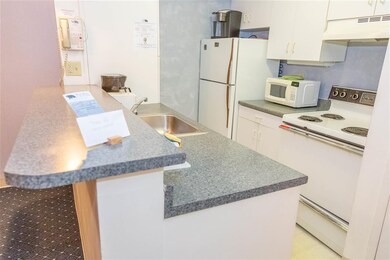 23 Black Bear Way unit 203, Waterville Valley, NH 03215 - photo 4