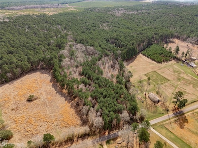 0 Pleasant Hill Cemetary Rd, Plain Dealing, LA 71064 - photo 2