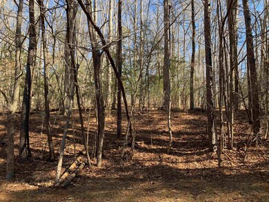 Lot # 28 Lauren Ct, Pittsboro, NC 27312 - photo 3