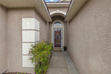 417 Cypress View Dr, Oldsmar, FL 34677 - photo 7