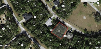 8798 N Salina Dr, Citrus Springs, FL 34434 - photo 2