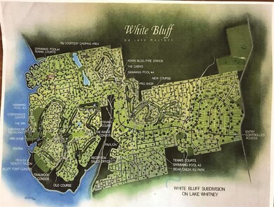 11088 Briarwood Dr, Whitney, TX 76692 - photo 7