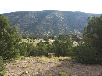 790 State Highway 165, Placitas, NM 87043 - photo 4
